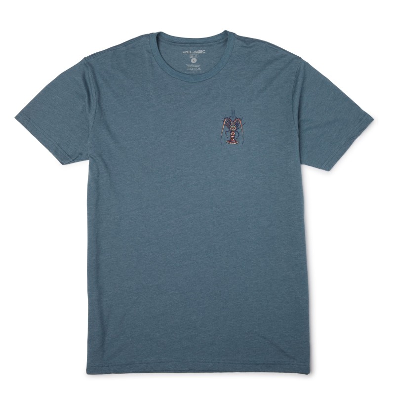 Großer Käfer Smokey Blue
