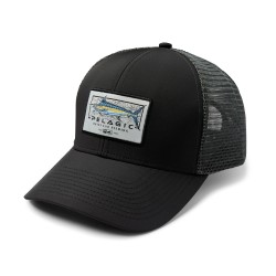 Marlin Minds Schwarz