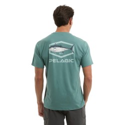 Freespool Target BFT