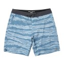 Ledge Boardshorts 18"