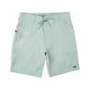 Flyline Hybrid Shorts 19"