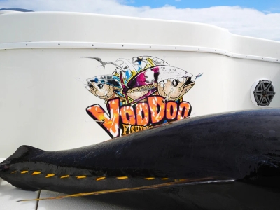 Epic Offshore Fishing: Jumbo Yellowfin and Wahoo with Voodoo Sportfishing 